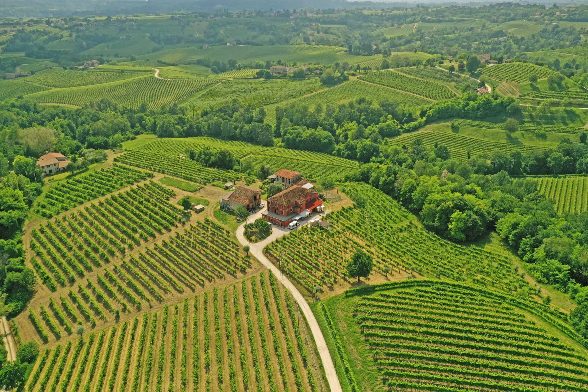 La tenuta Zinto vista dall'alto, tra i vigneti di Collalbrigo di Conegliano